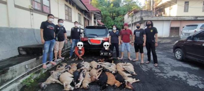Maleo Polda Sulut Amankan Satu Orang Pelaku Doger Anjing