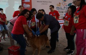 500 Dosis Vaksin di Minahasa, World Rabies Day Pecahkan Rekor MURI