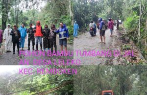 Pohon Tumbang Di Beberapa Lokasi, Pemkab Minahasa Bertindak Cepat