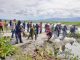 Hari Lingkungan Hidup, Pemkab Minahasa Angkat Eceng Gondok di Danau Tondano