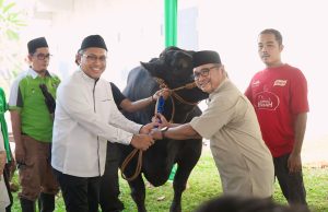 Idul Adha 1445 H, Pegadaian Salurkan 822 Ekor Hewan Untuk Masyarakat