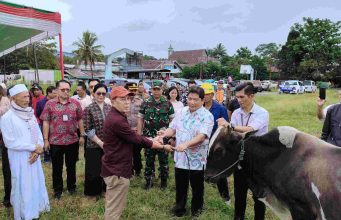 Pj Bupati Minahasa Serahkan 36 Ekor Hewan Kurban Kepada Umat Muslim