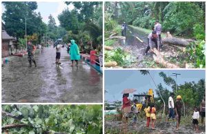 Akibat Cuaca Ekstrem, Langowan Selatan Dilanda Banjir dan Pohon Tumbang