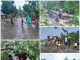 Akibat Cuaca Ekstrem, Langowan Selatan Dilanda Banjir dan Pohon Tumbang