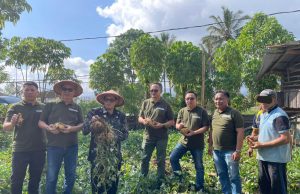 Tinjau Sarana Asimilasi dan Edukasi di Lapas Tondano, Kadiv Pemasyarakatan Kanwil Kemenkumham Sulut Panen Ubi Jalar