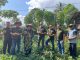 Tinjau Sarana Asimilasi dan Edukasi di Lapas Tondano, Kadiv Pemasyarakatan Kanwil Kemenkumham Sulut Panen Ubi Jalar