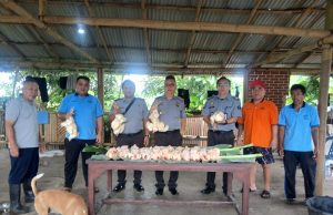 Panen Perdana Ayam Daging di Lapas Tondano, Bukti Nyata Pembinaan yang Produktif