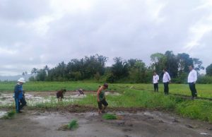 Dukung Ketahanan Pangan, WBP Lapas Tondano Tanam Padi