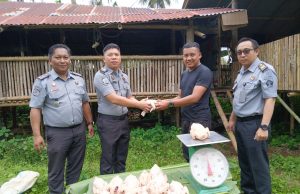 Dorong Kemandirian WBP dan Ketahanan Pangan, Lapas Tondano Sukses Panen Ayam Daging