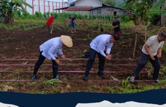 Dukung 13 Program Akselerasi Menteri Imipas, Kalapas Tondano Tanam Bibit Jagung