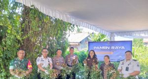 Dukung Ketahanan Pangan, Lapas Tondano Panen Raya Kacang
