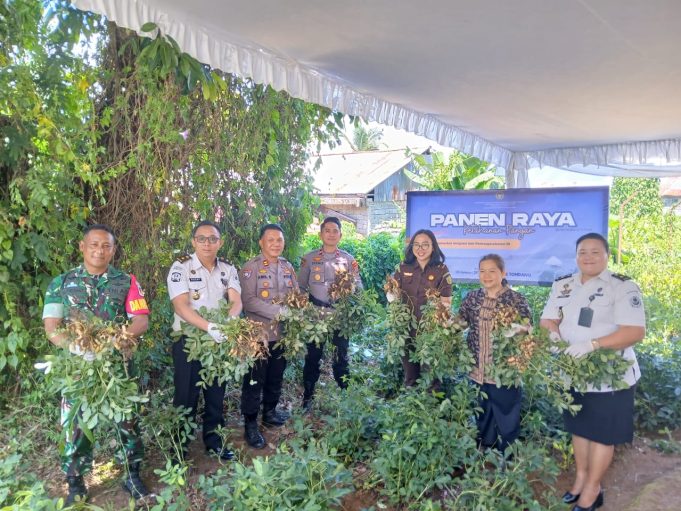 Dukung Ketahanan Pangan, Lapas Tondano Panen Raya Kacang