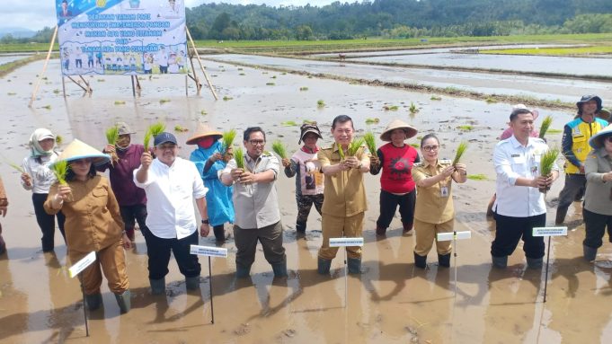 Wakil Bupati Minahasa Dampingi Wagub Sulut Dalam Program Gerakan Tanam Padi Bersama Kementerian Pertanian