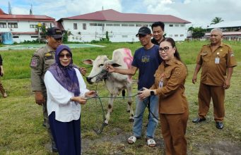 Pemkab Minahasa Serahkan 16 Ekor Bantuan Hewan Kurban Iduladha