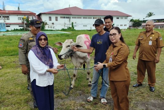Pemkab Minahasa Serahkan 16 Ekor Bantuan Hewan Kurban Iduladha