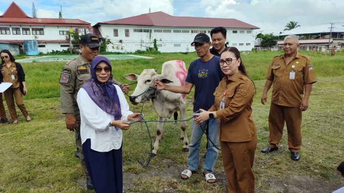 Pemkab Minahasa Serahkan 16 Ekor Bantuan Hewan Kurban Iduladha