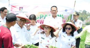 Panen Raya di Langowan, Minahasa Bidik Jadi Sentra Baru Bawang Merah